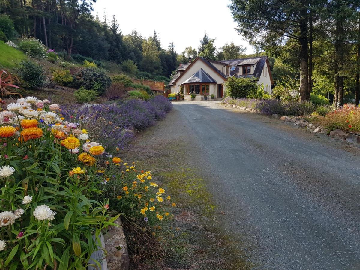 Forest View Woodland Lodge Ballard Eksteriør bilde