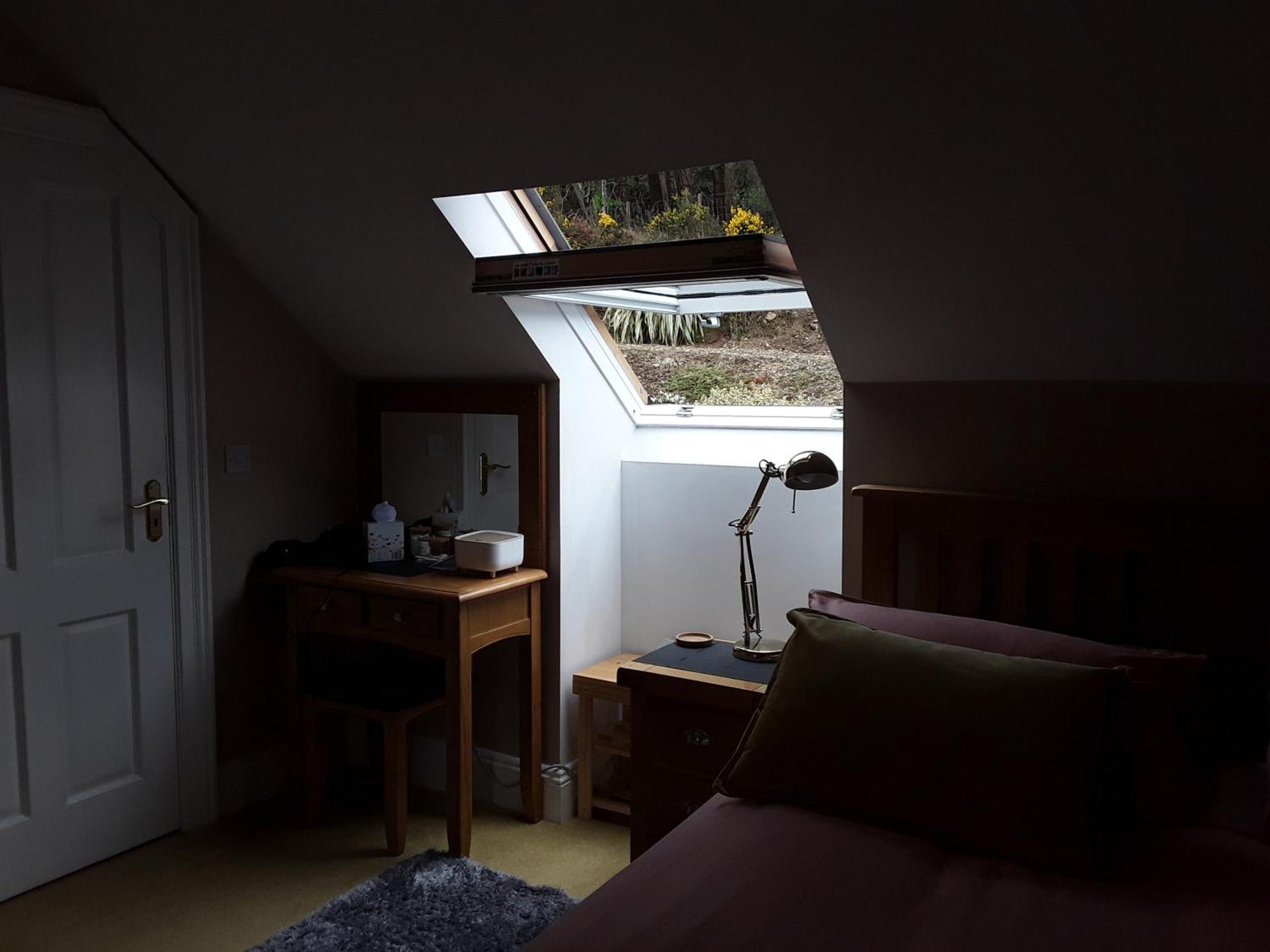 Forest View Woodland Lodge Ballard Eksteriør bilde